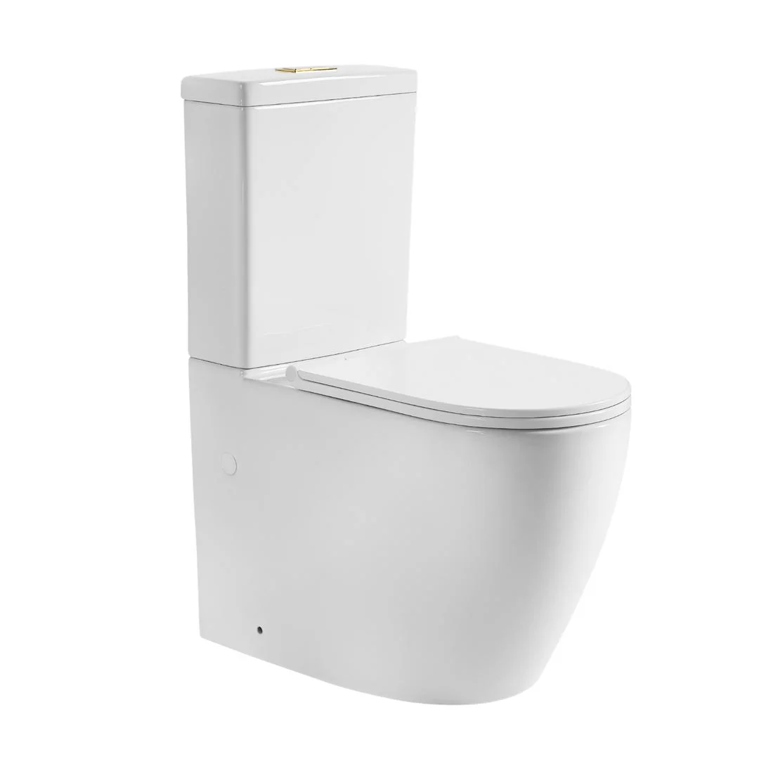 Linsol Ajax Back to Wall Rimless Toilet Suite - Image 7