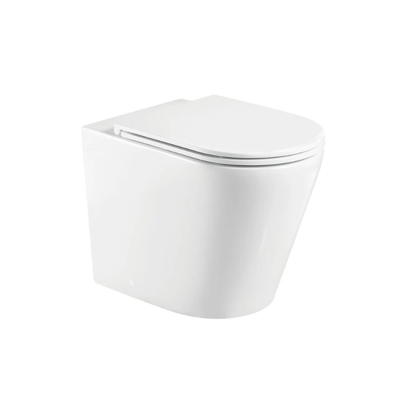 Fienza Aluca In Wall Toilet Suite (Custom Package) - Image 2