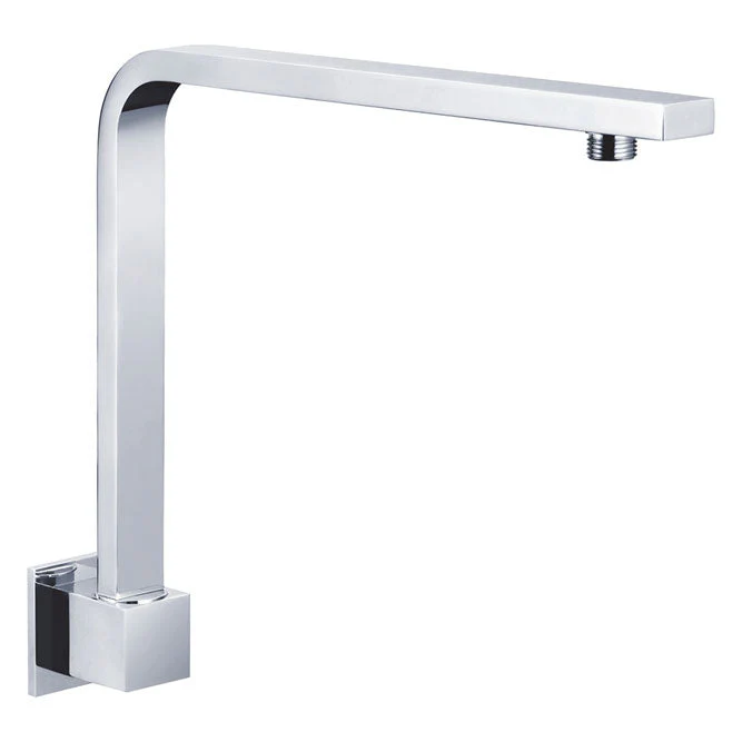 Fienza Square Fixed Gooseneck Arm