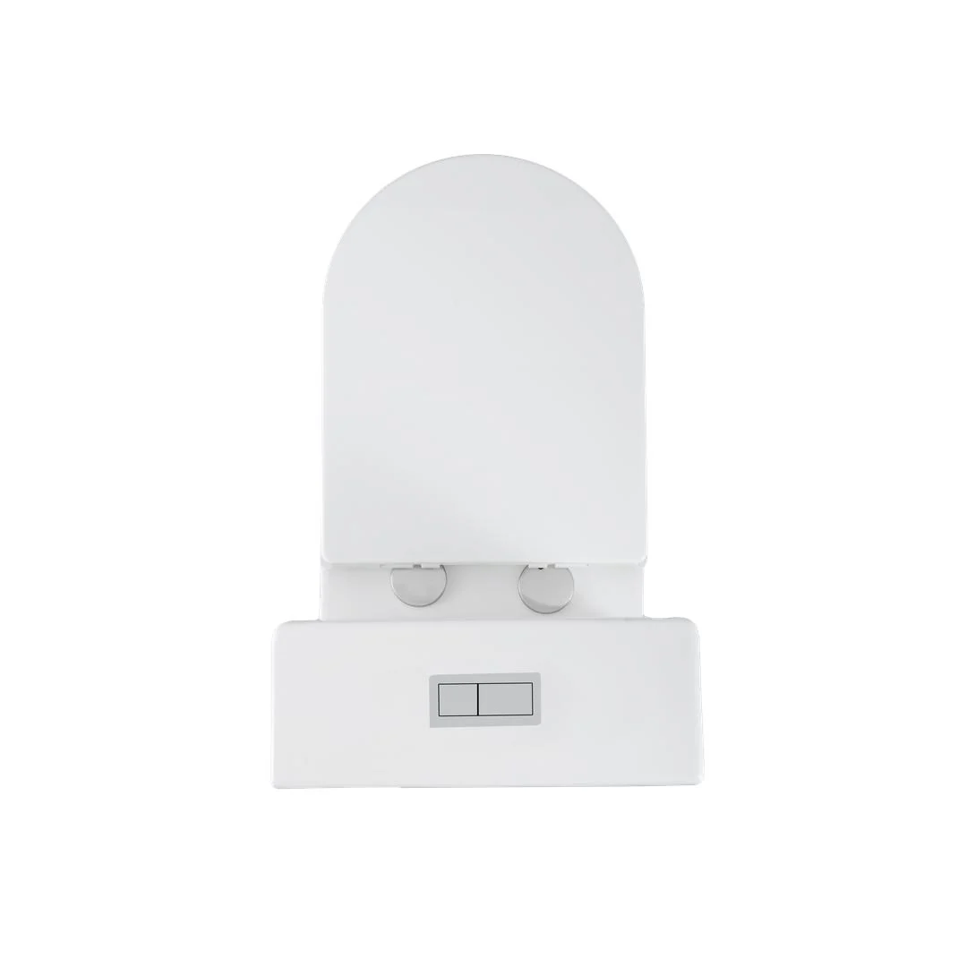 Linsol Florida Care Link Toilet with Backrest - Gloss White - Image 2