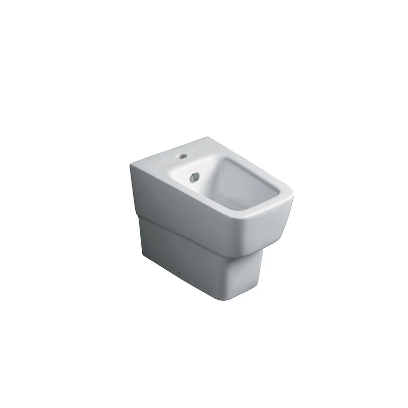 Parisi Degrade Wall Faced Bidet