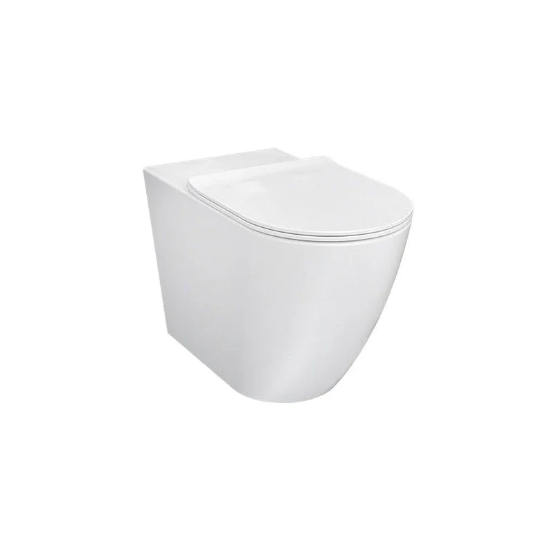 Parisi Ellisse MKII Rimless Ambulant Wall Faced Toilet Pan