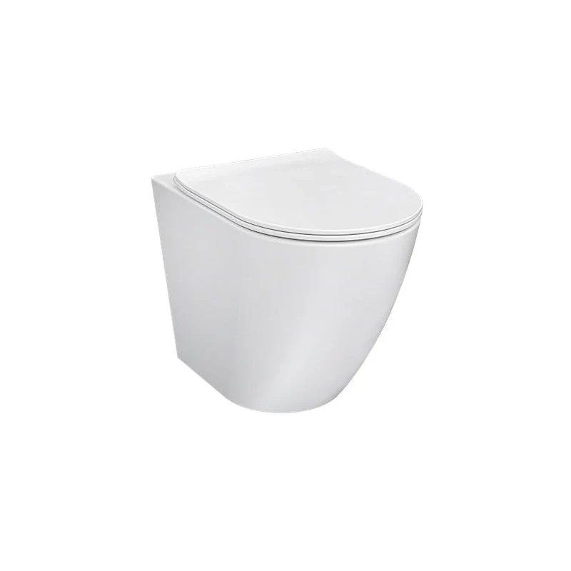 Parisi Ellisse MKII Rimless Wall Faced Toilet Pan