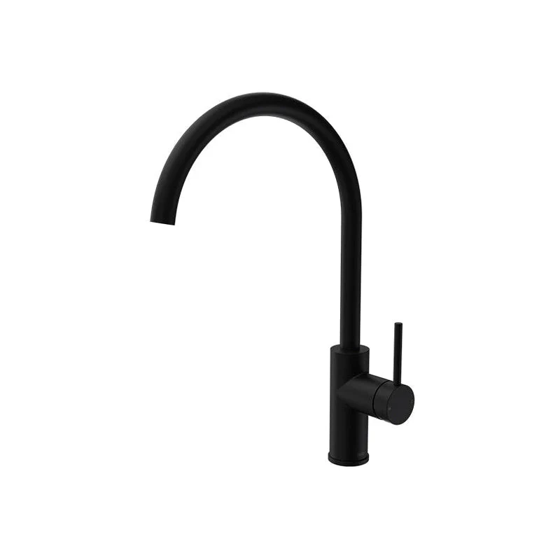 Parisi Envy Kitchen Sink Mixer with Round Spout - Matt Black