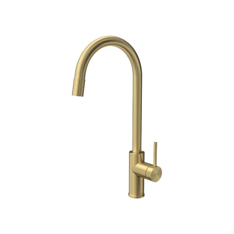 Parisi Envy Kitchen Sink Mixer with Round Spout Pull Out Spray - Brushed Brass