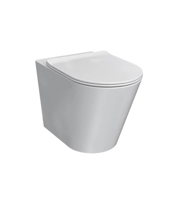Parisi L'Hotel Wall Faced Pan & Seat