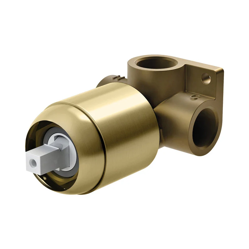 Phoenix Builders Shower / Wall Mixer Body Only - Brushed Gold