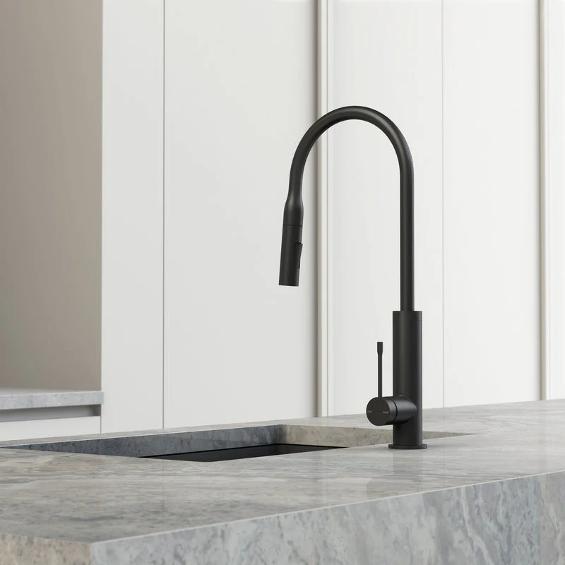 Phoenix Deja Pull Out Sink Mixer 220mm - Chrome - Image 3