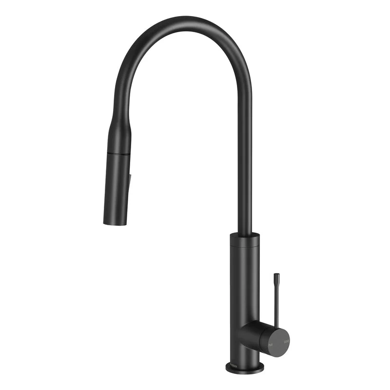 Phoenix Deja Pull Out Sink Mixer 220mm - Black Matte