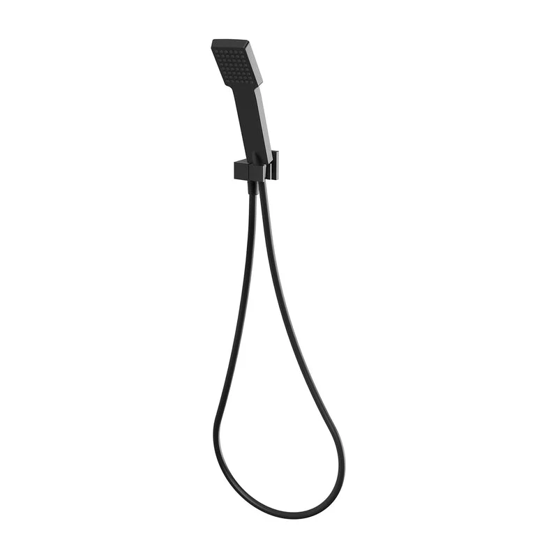 Phoenix Lexi Hand Shower - Black Matte