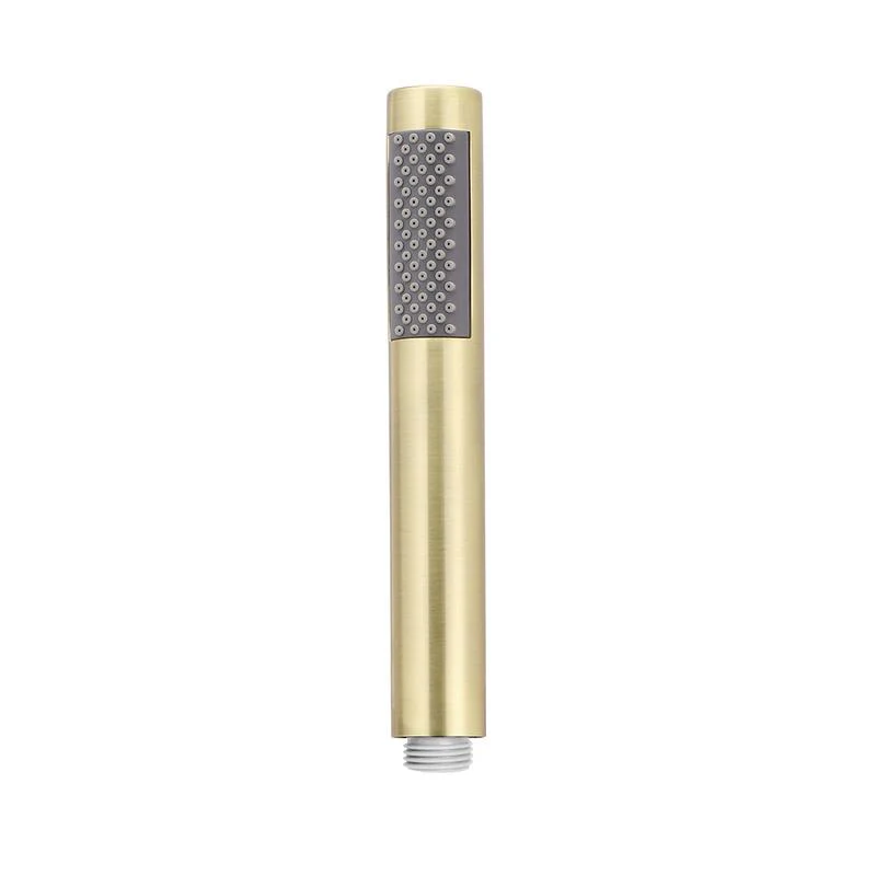 Meir Round Hand Shower Single Function - PVD Tiger Bronze