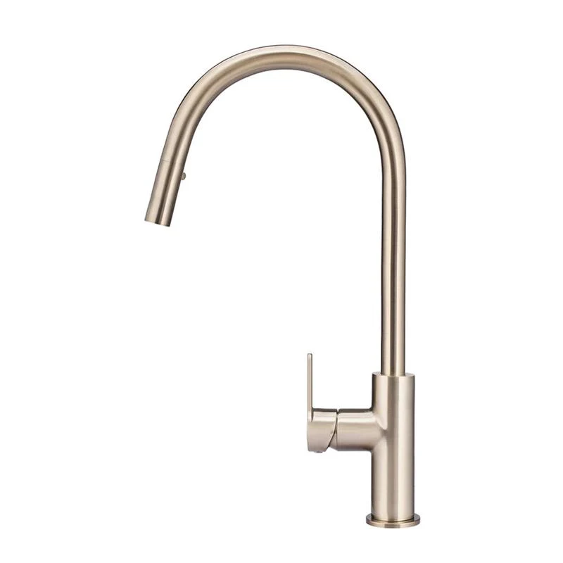 Meir Round Paddle Piccola Pull Out Kitchen Sink Mixer Tap - Champagne - Image 2