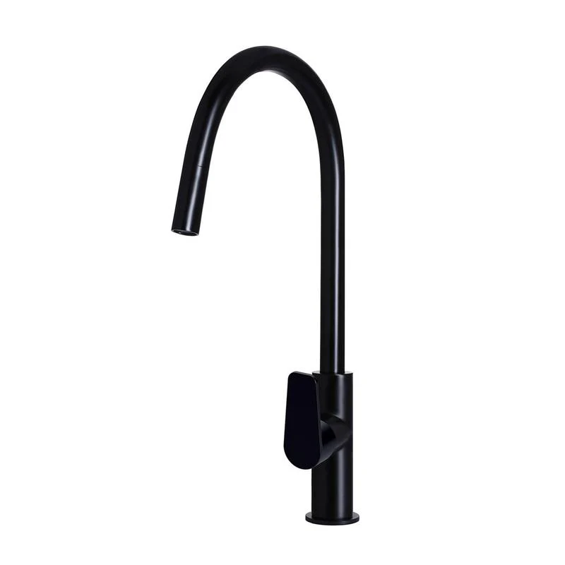 Meir Round Paddle Piccola Pull Out Kitchen Sink Mixer Tap - Black Matte